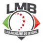 Liga Mexicana de Beisbol Iron Ons